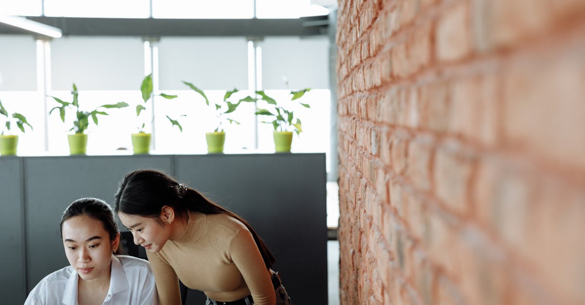 王权与自由：0投资代理平台代理加盟